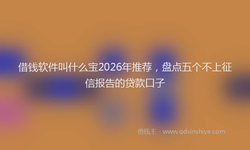 借钱软件叫什么宝2026年推荐，盘点五个不上征信报告的贷款口子