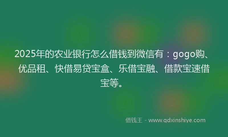 2025年的农业银行怎么借钱到微信有：gogo购、优品租、快借易贷宝盒、乐借宝融、借款宝速借宝等。