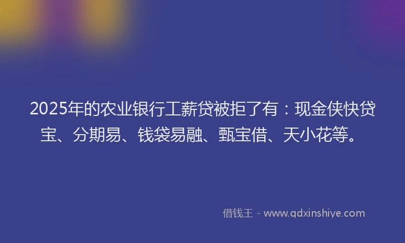 2025年的农业银行工薪贷被拒了有:现金侠快贷宝、分期易、钱袋易融、甄宝借、天小花等。