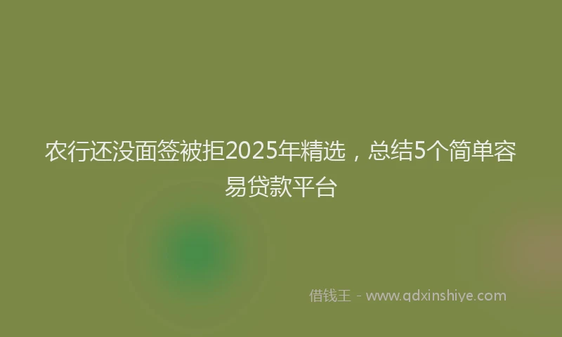 农行还没面签被拒2025年精选，总结5个简单容易贷款平台