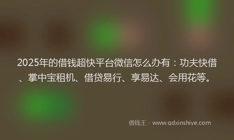 2025年的借钱超快平台微信怎么办有:功夫快借、掌中宝租机、借贷易行、享易达、会用花等。