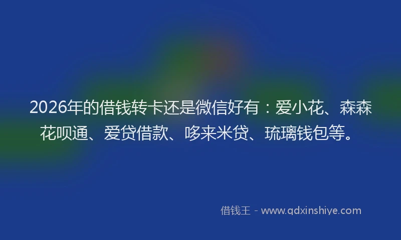 2026年的借钱转卡还是微信好有：爱小花、森森花呗通、爱贷借款、哆来米贷、琉璃钱包等。