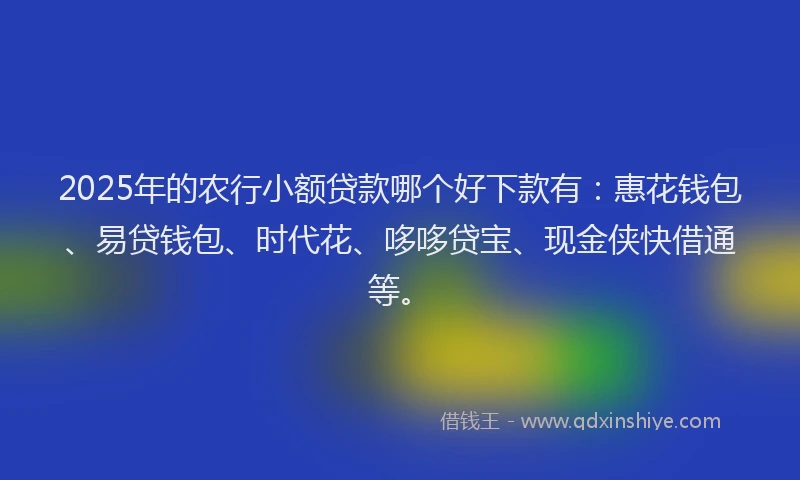 2025年的农行小额贷款哪个好下款有：惠花钱包、易贷钱包、时代花、哆哆贷宝、现金侠快借通等。