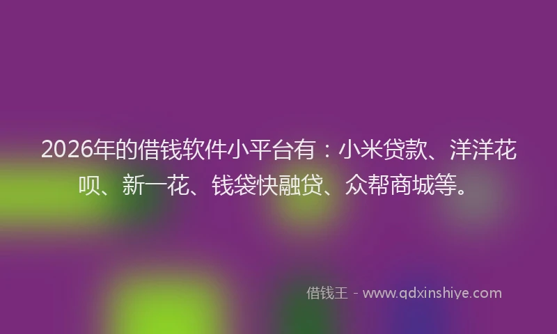 2026年的借钱软件小平台有：小米贷款、洋洋花呗、新一花、钱袋快融贷、众帮商城等。