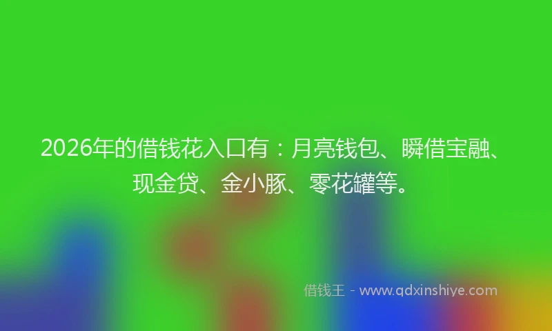 2026年的借钱花入口有：月亮钱包、瞬借宝融、现金贷、金小豚、零花罐等。