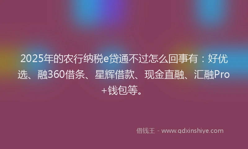 2025年的农行纳税e贷通不过怎么回事有：好优选、融360借条、星辉借款、现金直融、汇融Pro+钱包等。
