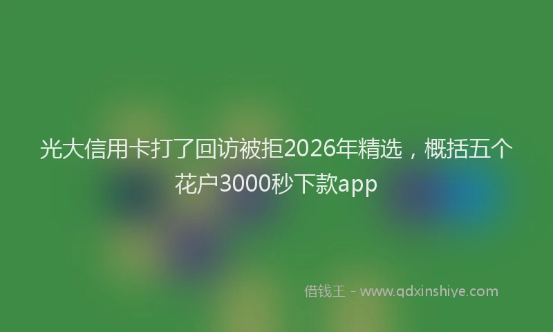 光大信用卡打了回访被拒2026年精选，概括五个花户3000秒下款app