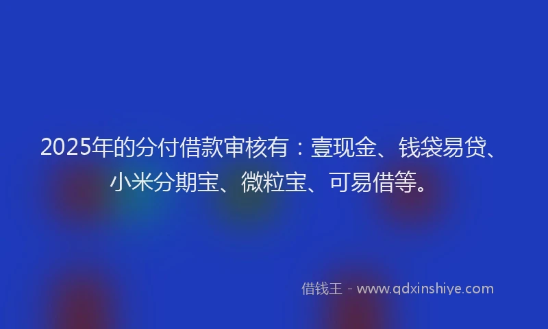 2025年的分付借款审核有：壹现金、钱袋易贷、小米分期宝、微粒宝、可易借等。