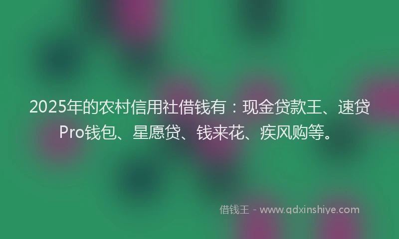 2025年的农村信用社借钱有:现金贷款王、速贷Pro钱包、星愿贷、钱来花、疾风购等。