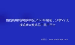 借钱能用到微信吗现在2025年精选，分享5个无视逾期大数据花户黑户平台