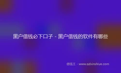 黑户借钱必下口子 - 黑户借钱的软件有哪些