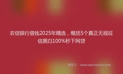 农信银行借钱2025年精选，概括5个真正无视征信黑白100%秒下网贷
