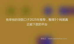 免审核的贷款口子2025年推荐，整理5个网黑真正能下款的平台