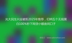 光大民生兴业被拒2025年推荐，归纳五个无视黑白100%秒下网贷小额夜间口子