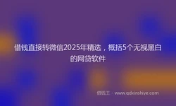 借钱直接转微信2025年精选，概括5个无视黑白的网贷软件
