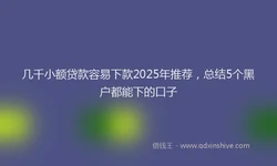 几千小额贷款容易下款2025年推荐，总结5个黑户都能下的口子