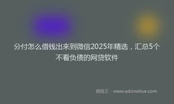 分付怎么借钱出来到微信2025年精选，汇总5个不看负债的网贷软件
