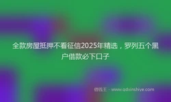 全款房屋抵押不看征信2025年精选，罗列五个黑户借款必下口子