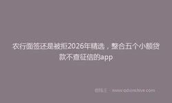 农行面签还是被拒2026年精选，整合五个小额贷款不查征信的app