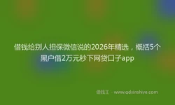 借钱给别人担保微信说的2026年精选，概括5个黑户借2万元秒下网贷口子app