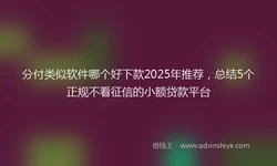 分付类似软件哪个好下款2025年推荐，总结5个正规不看征信的小额贷款平台