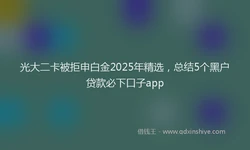 光大二卡被拒申白金2025年精选，总结5个黑户贷款必下口子app