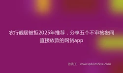 农行靓居被拒2025年推荐，分享五个不审核夜间直接放款的网贷app