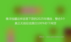像洋钱罐这样容易下款的2025年精选，整合5个真正无视征信黑白100%秒下网贷
