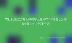 农行征信过了好下款吗怎么查2025年精选，分享5个黑户烂户秒下一万