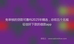 免审核的贷款可靠吗2025年精选，总结五个无视征信好下款的借款app