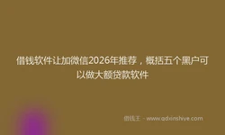 借钱软件让加微信2026年推荐，概括五个黑户可以做大额贷款软件