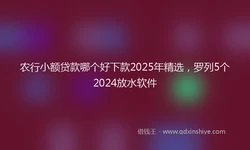 农行小额贷款哪个好下款2025年精选，罗列5个2024放水软件