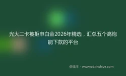 光大二卡被拒申白金2026年精选，汇总五个高炮能下款的平台