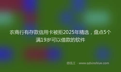 农商行有存款信用卡被拒2025年精选，盘点5个满19岁可以借款的软件