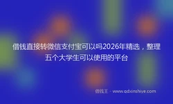借钱直接转微信支付宝可以吗2026年精选，整理五个大学生可以使用的平台