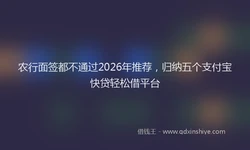 农行面签都不通过2026年推荐，归纳五个支付宝快贷轻松借平台