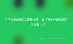 兜兜优选借钱2025年推荐，概括五个芝麻信用可以借钱的口子