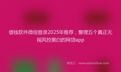 借钱软件微信登录2025年推荐，整理五个真正无视风控黑白的网贷app