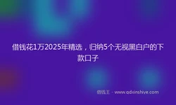 借钱花1万2025年精选，归纳5个无视黑白户的下款口子