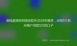 借钱直接转到微信软件2026年推荐，总结5个苏州黑户贷款5万的口子