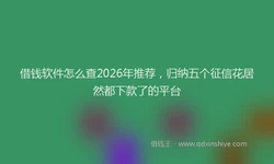借钱软件怎么查2026年推荐，归纳五个征信花居然都下款了的平台