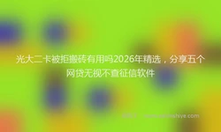 光大二卡被拒搬砖有用吗2026年精选，分享五个网贷无视不查征信软件