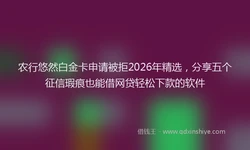 农行悠然白金卡申请被拒2026年精选，分享五个征信瑕疵也能借网贷轻松下款的软件