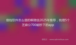 借钱软件怎么借的啊微信2025年推荐，梳理5个芝麻分700能秒下的app