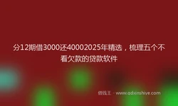 分12期借3000还40002025年精选，梳理五个不看欠款的贷款软件