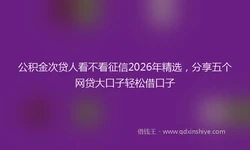 公积金次贷人看不看征信2026年精选，分享五个网贷大口子轻松借口子