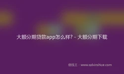 大额分期贷款app怎么样? - 大额分期下载