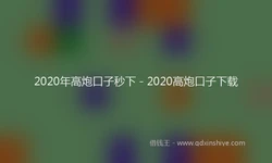 2020年高炮口子秒下 - 2020高炮口子下载