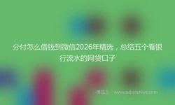 分付怎么借钱到微信2026年精选，总结五个看银行流水的网贷口子