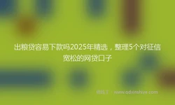 出粮贷容易下款吗2025年精选，整理5个对征信宽松的网贷口子